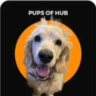 Pups of Hub logo
